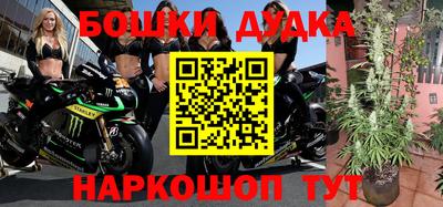 гидра Кингисепп