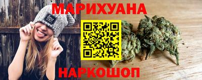 гидра Кингисепп
